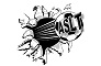 Logo ASLT
